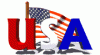USA4.gif