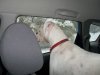 Gunny wants out.JPG