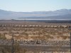 Trainload of equipment in the Mojave.JPG