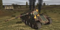 Singling Panther 1.JPG