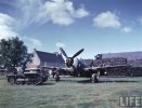 P-47 Normandy.jpg