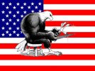 Eagle claws USA.jpg
