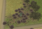 Screenshot (24).png