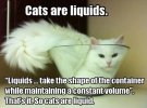 cats-are-liquids.jpg
