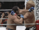 IMG_0232.gif