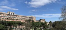 IMG_4426.jpeg