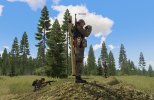 spotting.jpg