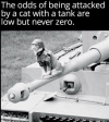 1750348046802.png