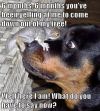 1756016713265.png