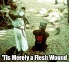 flesh wound.jpg