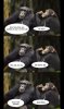 chimps.jpg
