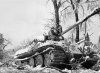 Panzer_V_Panther_Ausf_A_tanks-016.jpg