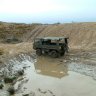 Bryn Pinzgauer